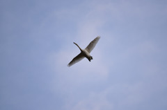 空、高く