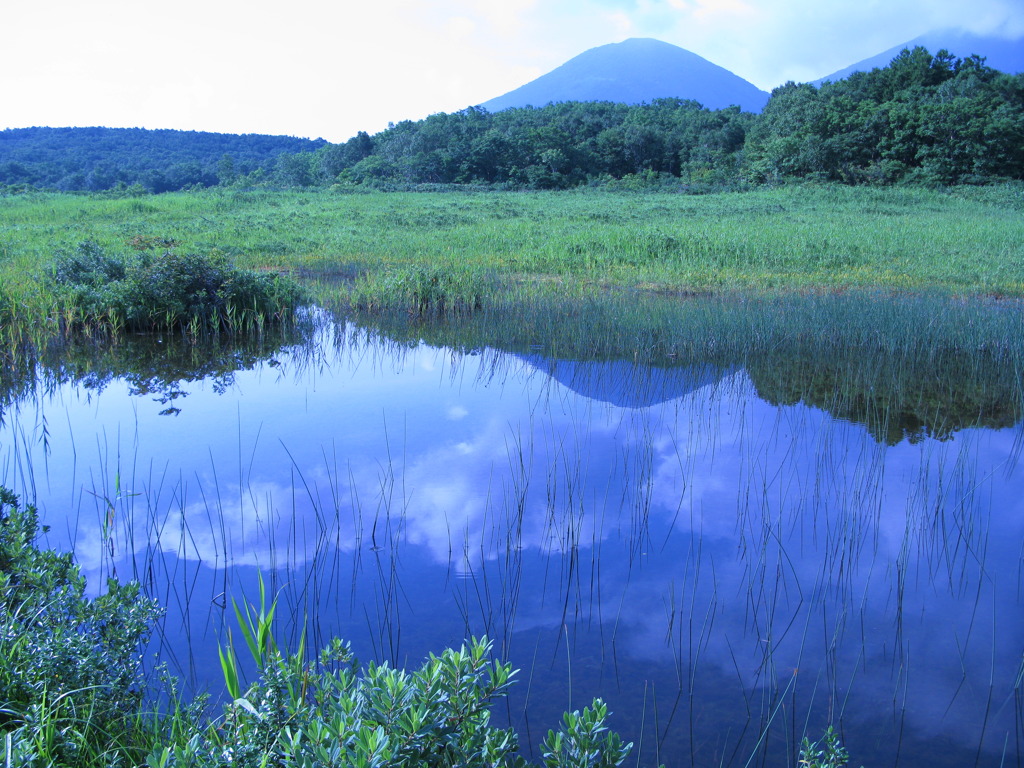 八甲田・田代平湿原