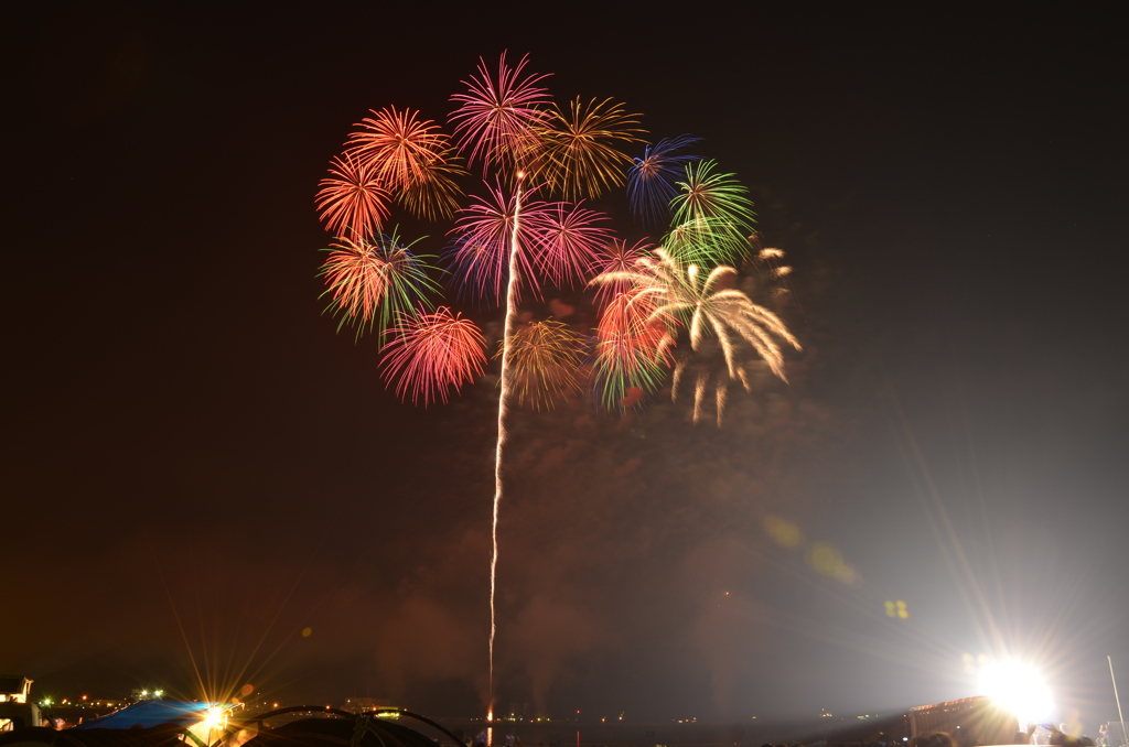 夏の花、大空に咲く