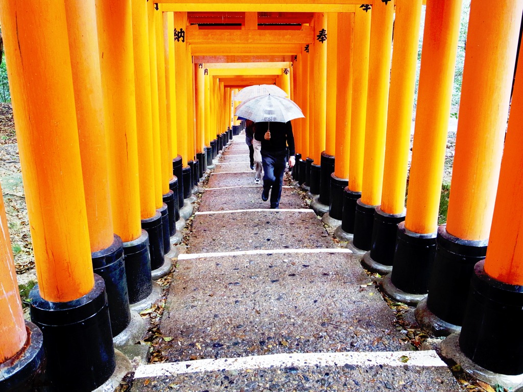 雨の参拝