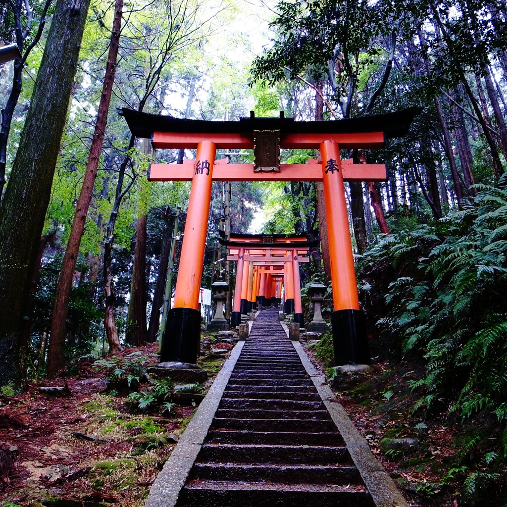 森の鳥居