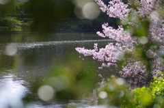 あの橋