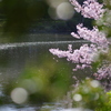 あの橋