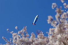 見上げた空