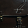 BAG1