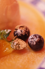 Frutta