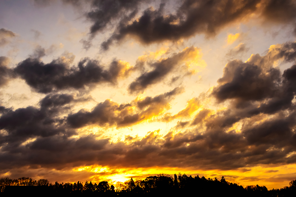 朝焼けの光の中に立つ影は・・・