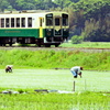 夫婦