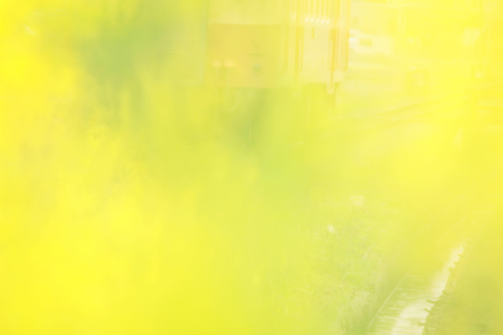 ～yellow　train～
