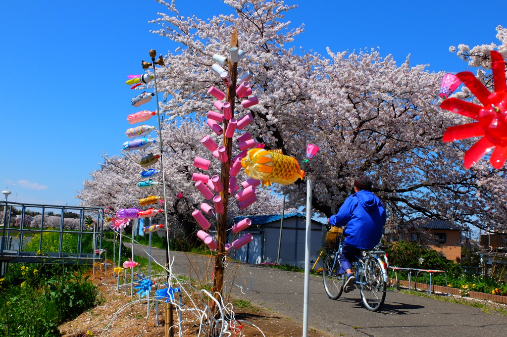 4月と5月