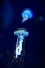 宇宙