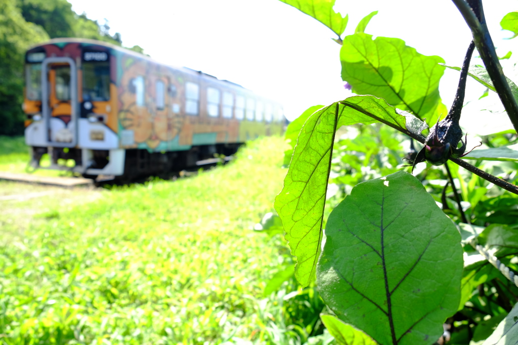 田舎鉄道