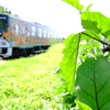 田舎鉄道