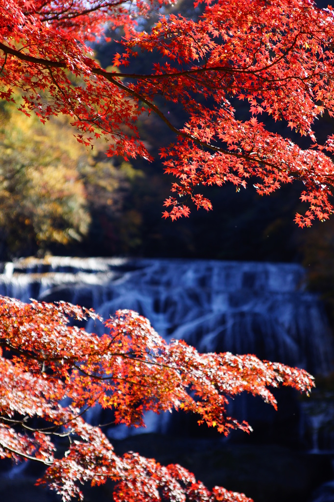 滝と紅葉