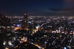 The night view of Tokyo 