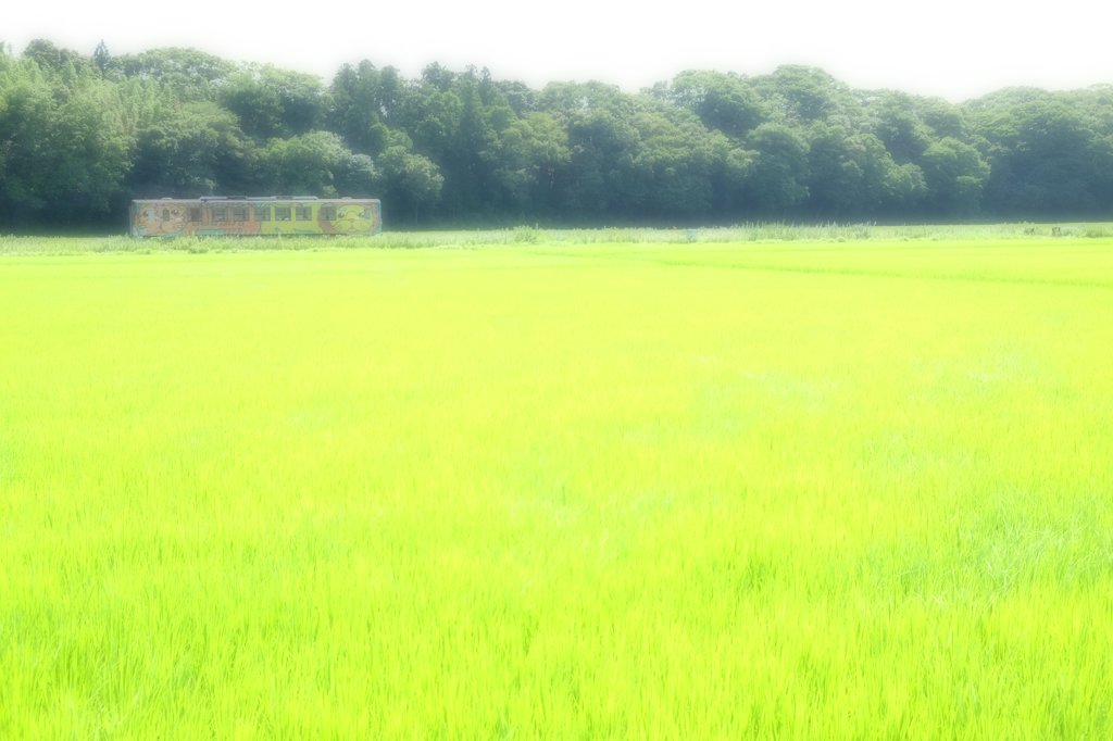 のんびり旅にでようかな・・・
