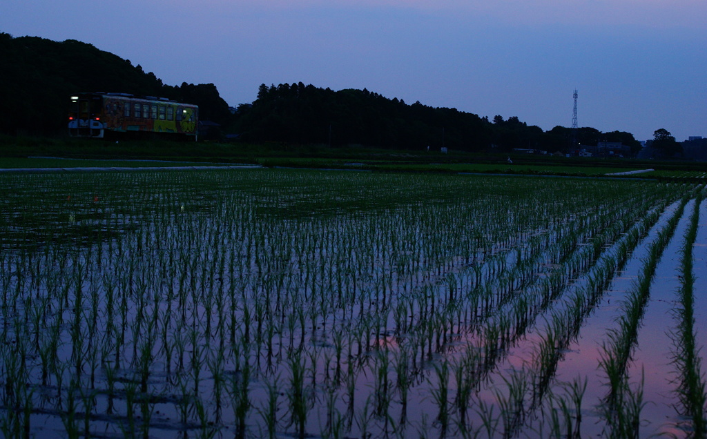 夕暮れ時