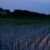 夕暮れ時