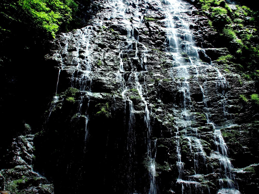 P6260194-1