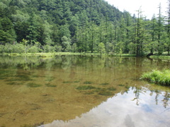 明神池2