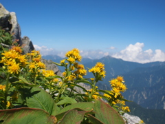 立山2013　6