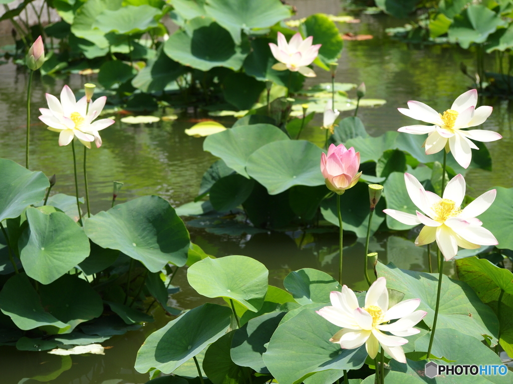 富山県中央植物園にて2