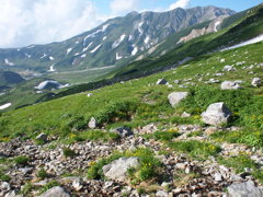 立山2013　8