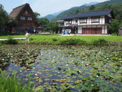 白川郷2