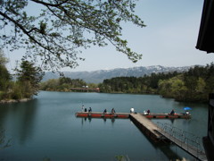 桜が池2