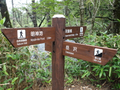 上高地16