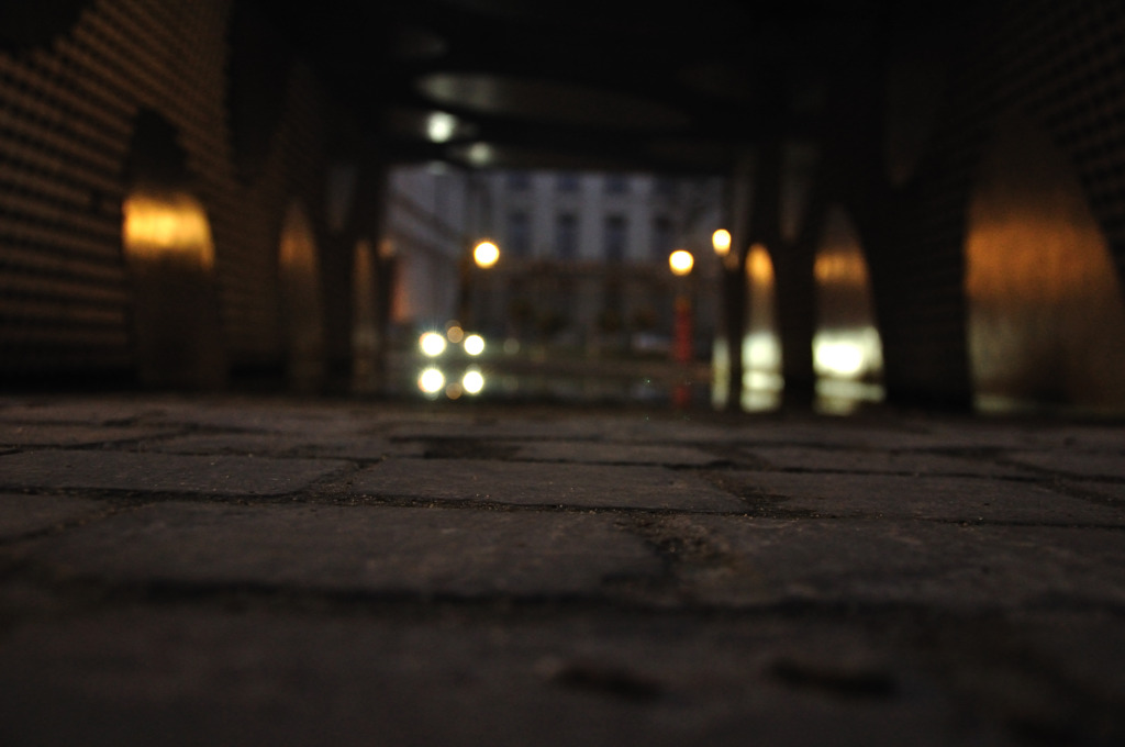 DSC_0356