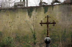 DSC_0300