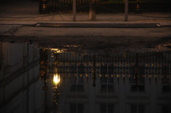 DSC_0359