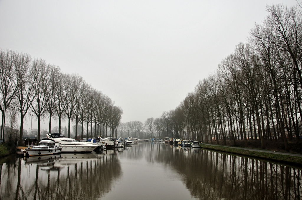 DSC_0308