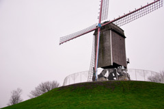 DSC_0399