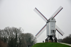 DSC_0384