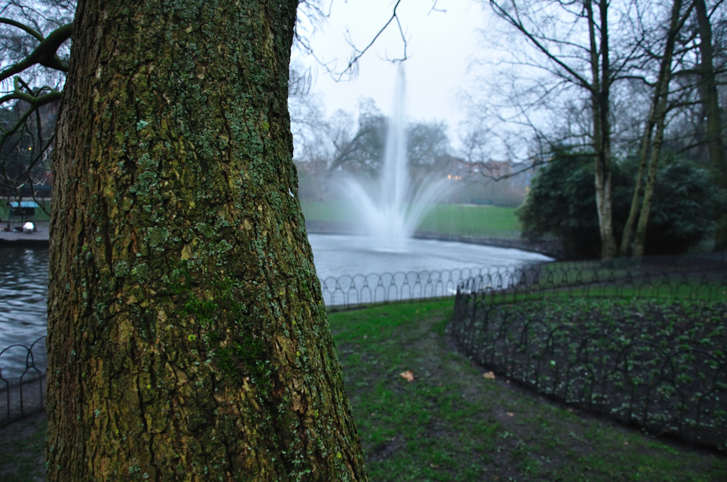 DSC_0330