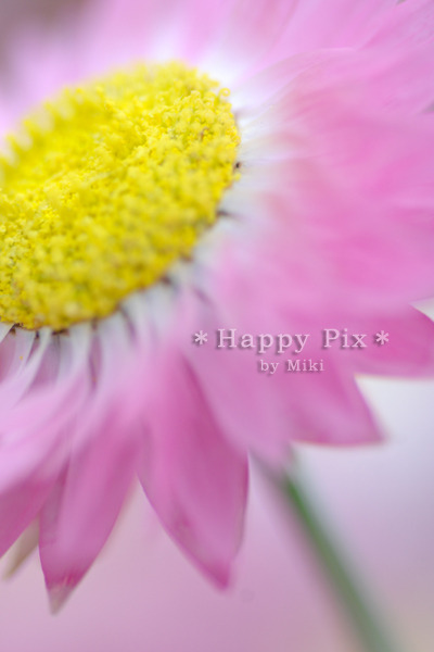2008-04-26_0340