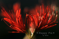 2011-09-24_5658