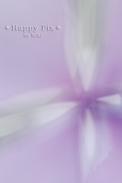 2008-06-25