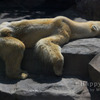2009-05-30_0123