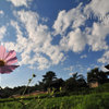 2011-09-23_5188
