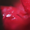 2010-05-24_7485