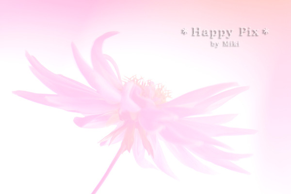 2010-11-11_6567