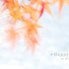 2008-12-06_0163