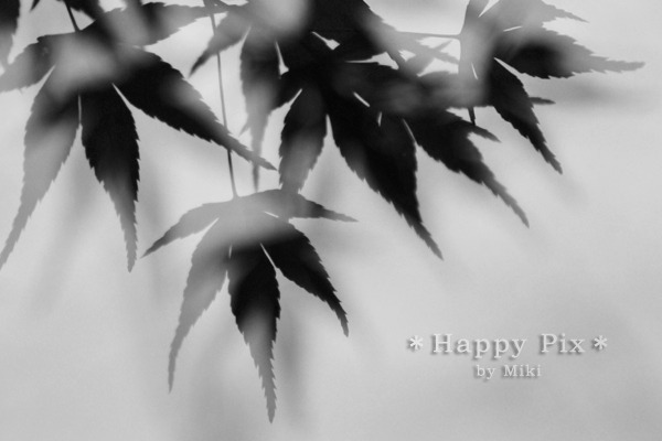 2009-11-16_1737