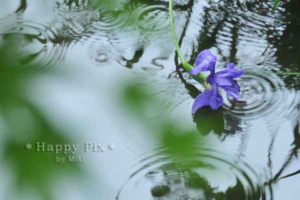 2010-05-19_7017