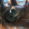 2009-05-30_0183