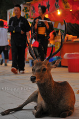 2009-08-12_4935