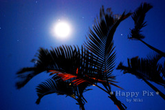 沖縄の夜空
